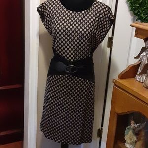 AGB black and tan polka dot stretch short sleeve dress black belt size 16 EUC…